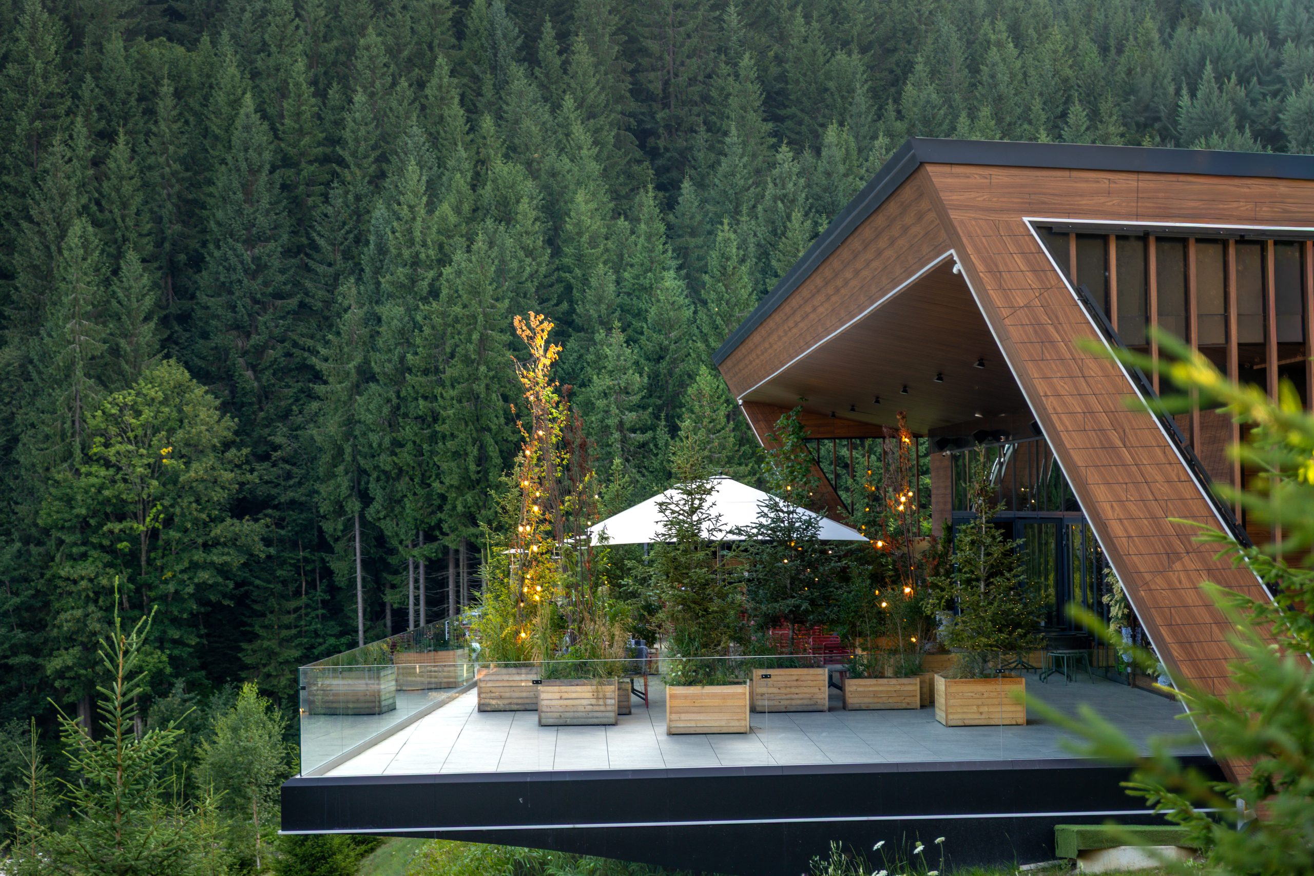 Contemporary wooden house with spacious open terrace decorated with plants and lights, surrounded by dense coniferous forest. Cozy and stylish retreat.